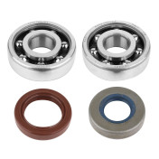 BEARING FOR CRANKSHAFT+SEALS FOR 50CC MOTORBIKE ARTEK FOR MINARELLI 50 AM6/MBK 50 X-POWER/YAMAHA 50 TZR/PEUGEOT 50 XPS, XR6/RIEJU 50 RS1, SMX/BETA 50 RR (KIT 6303 SKF POLYAMIDE C3+ NBR VITON SEALS) 3700948003824