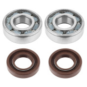 BEARING FOR CRANKSHAFT+SEALS FOR 50CC MOTORBIKE ARTEK FOR DERBI 50 SENDA, GPR/GILERA 50 SMT, RCR (ENGINE EURO 2 + EURO 3) (KIT 6204 SKF POLYAMIDE C4+VITON SEALS) 3700948003817