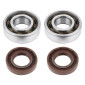 BEARING FOR CRANKSHAFT+SEALS FOR 50CC MOTORBIKE ARTEK FOR DERBI 50 SENDA, GPR/GILERA 50 SMT, RCR (ENGINE EURO 2 + EURO 3) (KIT 6204 SKF POLYAMIDE C4+VITON SEALS) 3700948003817