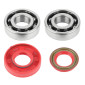 BEARING FOR CRANKSHAFT+SEALS FOR SCOOT ARTEK FOR MBK 50 BOOSTER, NITRO/YAMAHA 50 BWS, AEROX/APRILIA 50 SR/CPI 50 ARAGON/GENERIC 50 IDEO (BEARING KIT 6204 TPI POLYAMID C4 +RED NBR SEALS) 3700948115268