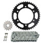 KIT CHAINE ADAPTABLE BENELLI 702 TRK 2023> 520 15x46 (DEMULTIPLICATION ORIGINE) -AFAM- 5400598266461