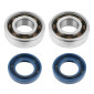 BEARING FOR CRANKSHAFT+SEALS FOR 50CC MOTORBIKE TOP PERF FOR DERBI 50 SENDA, GPR/GILERA 50 SMT, RCR (ENGINE EURO 2 + EURO 3) 3700948161081