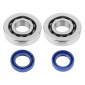 BEARING FOR CRANKSHAFT+SEALS FOR SCOOT POLINI FOR PIAGGIO 50 ZIP 2T, TYPHOON, NRG/GILERA 50 STALKER, RUNNER (KIT 282.0001) 8054705085260
