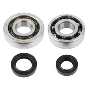 BEARING FOR CRANKSHAFT+SEALS FOR SCOOT P2R FOR PEUGEOT 50 SPEEDFIGHT 2, TKR, TREKKER AVEC POMPE DELLORTO (KIT SC04A47CS + 6204 TPI POLYAMID C4) 3701213410118