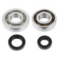 BEARING FOR CRANKSHAFT+SEALS FOR SCOOT P2R FOR PEUGEOT 50 SPEEDFIGHT 2, TKR, TREKKER AVEC POMPE DELLORTO (KIT SC04A47CS + 6204 TPI POLYAMID C4) 3701213410118