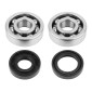 ROULEMENT D'EMBIELLAGE + JOINT 50 A BOITE P2R ADAPTABLE MINARELLI 50 AM6/MBK 50 X-POWER/YAMAHA 50 TZR/PEUGEOT 50 XPS, XR6/RIEJU 50 RS1, SMX/BETA 50 RR (KIT 6303 TPI ACIER C4/JOINT NITRILE) 3701213410095