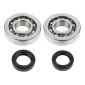 BEARING FOR CRANKSHAFT+SEALS FOR SCOOT TOP PERF ADAPTABLE PIAGGIO 50 ZIP 2STROKE, TYPHOON, NRG/GILERA 50 STALKER, RUNNER (KIT ) 3700948167182