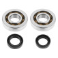 BEARING FOR CRANKSHAFT+SEALS FOR SCOOT TOP PERF ADAPTABLE PIAGGIO 50 ZIP 2STROKE, TYPHOON, NRG/GILERA 50 STALKER, RUNNER (KIT ) 3700948167182