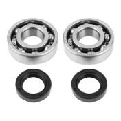 BEARING FOR CRANKSHAFT+SEALS FOR SCOOT P2R FOR PEUGEOT 50 LUDIX, SPEEDFIGHT 3, JET FORCE (KIT 6204 NTN STEEL C4) 3700948021842