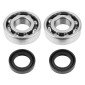 BEARING FOR CRANKSHAFT+SEALS FOR SCOOT P2R FOR PEUGEOT 50 LUDIX, SPEEDFIGHT 3, JET FORCE (KIT 6204 NTN STEEL C4) 3700948021842