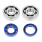 BEARING FOR CRANKSHAFT+SEALS FOR 50CC MOTORBIKE POLINI FOR MINARELLI 50 AM6/MBK 50 X-POWER/YAMAHA 50 TZR/PEUGEOT 50 XPS, XR6/RIEJU 50 RS1, SMX/BETA 50 RR (KIT 282.0003) 8054705085284