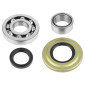 BEARING FOR CRANKSHAFT+SEALS FOR MAXISCOOTER PIAGGIO 125 VESPA PX, 150 VESPA PX, 200 VESPA PX (KIT) -SELECTION P2R- 1002007300001