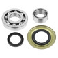 BEARING FOR CRANKSHAFT+SEALS FOR MAXISCOOTER PIAGGIO 125 VESPA PX, 150 VESPA PX, 200 VESPA PX (KIT) -SELECTION P2R- 1002007300001