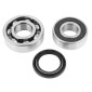 BEARING FOR CRANKSHAFT+SEALS FOR MOPED P2R FOR SOLEX 3800 (KIT 6202+6203 ZKL) 3701213412563