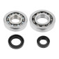 BEARING FOR CRANKSHAFT+SEALS FOR SCOOT TOP PERF FOR KYMCO 50 AGILITY 2STROKE 2012> 3700948163016