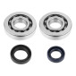 BEARING FOR CRANKSHAFT+SEALS FOR SCOOT TOP PERF FOR PEUGEOT 50 TKR, TREKKER, SPEEDFIGHT, VIVACITY, BUXY, SQUAB, ZENITH, ELYSEO (KIT SC04A47CS) 3700948160862