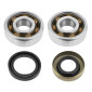 BEARING FOR CRANKSHAFT+SEALS FOR 50CC MOTORBIKE TOP PERF FOR MINARELLI 50 AM6/MBK 50 X-POWER/YAMAHA 50 TZR/PEUGEOT 50 XPS, XR6/RIEJU 50 RS1, SMX/BETA 50 RR 3700948160879