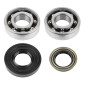 BEARING FOR CRANKSHAFT+SEALS FOR SCOOT P2R FOR MBK 50 BOOSTER, NITRO/YAMAHA 50 BWS, AEROX/APRILIA 50 SR/CPI 50 ARAGON/GENERIC 50 IDEO/KEEWAY 50 FOCUS (KIT 6204 SKF POLYAMIDE) 3701213410439