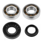 BEARING FOR CRANKSHAFT+SEALS FOR SCOOT P2R FOR MBK 50 BOOSTER, NITRO/YAMAHA 50 BWS, AEROX/APRILIA 50 SR/CPI 50 ARAGON/GENERIC 50 IDEO/KEEWAY 50 FOCUS (KIT 6204 SKF POLYAMIDE) 3701213410439