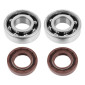 BEARING FOR CRANKSHAFT+SEALS FOR 50CC MOTORBIKE P2R FOR DERBI 50 SENDA, GPR/GILERA 50 SMT, RCR (ENGINE EURO 2 + EURO 3) (KIT 6204 POLYAMIDE C4) 3701213410392