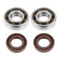ROULEMENT D'EMBIELLAGE + JOINT 50 A BOITE P2R ADAPTABLE DERBI 50 SENDA, GPR/GILERA 50 SMT, RCR (MOTEUR EURO 2 + EURO 3) (KIT 6204 SKF POLYAMIDE C4/JOINT VITON) 3701213410392