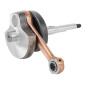 EMBIELLAGE/VILEBREQUIN CYCLO ADAPTABLE PIAGGIO 50 CIAO PX (AXE DE 10) -MAGNETI MARELLI- 8050947999631