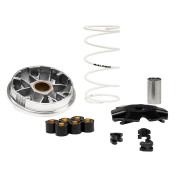 VARIATEUR CYCLO MALOSSI MULTIVAR POUR RIEJU 50 BYE BIKE 2T (5119411) 3700948289013