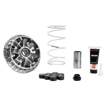 VARIATEUR MAXISCOOTER MALOSSI MULTIVAR 2000 SPORT POUR SUZUKI 400 BURGMAN AN IE 2010> (K432) 3667385007412