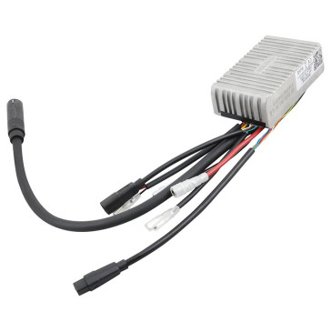CONTROLEUR MOTEUR ROUE ARRIERE VAE BAFANG 36V 250W (CR S10R.250.FC) 3667385003902