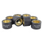 GALET/ROULEAU MAXISCOOTER MAGNETI MARELLI 25x17 18,5g (x8) POUR PIAGGIO 400-500 MP3, 500 X9 EVOLUTION/PEUGEOT 500 SATELIS/APRILIA 500 ATLANTIC/GILERA 500 NEXUS 8050947965698