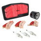 KIT ENTRETIEN MOTO ADAPTABLE TRIUMPH 765 STREET TRIPLE RS 2017>2023 PLAQUETTE METAL FRITTE (PACK 9 PIECES) -SELECTION P2R- 3667385003643