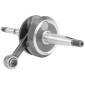 EMBIELLAGE/VILEBREQUIN CYCLO ADAPTABLE POUR PEUGEOT 103 SPX, RCX -SELECTION P2R- 3701213440078