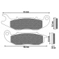 PLAQUETTE DE FREIN NEWFREN POUR HONDA 125 PCX 2018> AV, 300 CRF L 2021> AV / PIAGGIO 50 LIBERTY 2015>2017 AV, 125 LIBERTY 2015>2022 AV, ONE 2021> AV (FD0444BT) (TOURING ORGANIQUE) 8025832416319