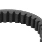 COURROIE MAXISCOOTER ADAPTABLE YAMAHA 125 D'ELIGHT 2017> (867 x 22 x 10 x 28°) -BANDO S02-021-