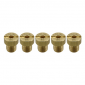 GICLEUR PRINCIPAL PHBG/SHA POLINI 64 (SACHET DE 5) (360.1064) 8054705090059