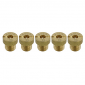GICLEUR PRINCIPAL PHBN/PHVA POLINI 72 (SACHET DE 5) (362.1072) 8054705090660