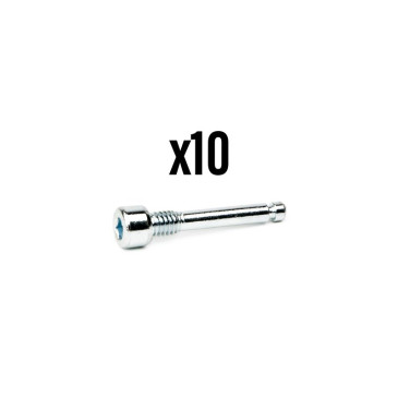 GOUPILLE FREIN A DISQUE M4 x 22 ELVEDES POUR AVID ELIXIR 5/7/9 et GUIDE CODE/TRAIL (VENDU PAR 10) 8716706017588