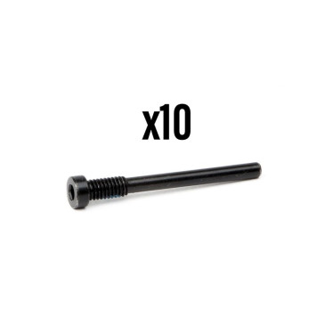 GOUPILLE FREIN A DISQUE M4 x 36 ELVEDES POUR HAYES RYDE/DYNO (VENDU PAR 10) 8716706017601