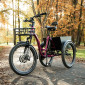 TRICYCLE ELECTRIQUE/VAE CITY LEADER FOX 24" CURTIS 2025 MIXTE BORDEAUX BRILLANT 3V SHIMANO NEXUS MOTEUR ROUE AV BAFANG 36V 45Nm BATTERIE 17,4Ah FREIN ET RETROPEDALAGE 8592826110626