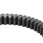 COURROIE MAXISCOOTER ADAPTABLE APRILIA 250 SCARABEO 2004>/MALAGUTI 250 MADISON 2004>2005/PIAGGIO 300 BEVERLY 2011> (922 x 20,8 x 13,6 x 26°) -BANDO- 8435485201932