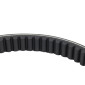 COURROIE MAXISCOOTER ADAPTABLE HONDA 125 FORZA 2015>2020 (918 x 23,5 x 10 x 30°) -BANDO S05-029- 8435485201604
