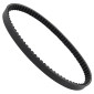 COURROIE MAXISCOOTER ADAPTABLE PIAGGIO 125 VESPA SPRINT 4T, PRIMAVERA 4T, LIBERTY 4T 3V, LIBERTY I GET (770 x 19,8 x 9,5 x 28°) -BANDO S04-019- 8435485200591