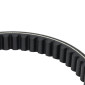COURROIE MAXISCOOTER ADAPTABLE PIAGGIO 125 VESPA SPRINT 4T, PRIMAVERA 4T, LIBERTY 4T 3V, LIBERTY I GET (770 x 19,8 x 9,5 x 28°) -BANDO S04-019- 8435485200591