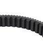 COURROIE MAXISCOOTER ADAPTABLE HONDA 125 PCX 2015>2017 (820 x 22,9 x 10,6 x 30°) -BANDO S05-032- 8435485203455