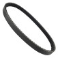 COURROIE MAXISCOOTER ADAPTABLE PEUGEOT 125 GEOPOLIS 2006>2013 (884 x 22,4 x 10,5 x 28°) -BANDO S17-010- 8435485201437