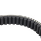 BELT FOR MAXISCOOTER PEUGEOT 125 GEOPOLIS 2006>2013 (884 x 22,4 x 10,5 x 28°) -BANDO S17-010- 8435485201437
