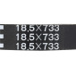 BELT FOR SCOOT PIAGGIO 50 ZIP 4-STROKE/ZIP 2-STROKE/ET4/ET2/LX 2-STROKE/LX 4-STROKE -MITSUBOSHI- (732x18,5x8) 3700948259504