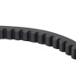 BELT FOR MOPED PEUGEOT 50 FOX/HONDA 50 WALLAROO -BANDO- (1163x15,5x8,5x30°) 8435485200027
