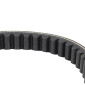 COURROIE MAXISCOOTER ADAPTABLE PEUGEOT 125 ELYSEO, 125 ELYSTAR, 125 JET FORCE (824 x 19 x 9,5 x 30°) -BANDO S17-005- 8435485201123