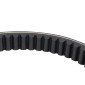 COURROIE MAXISCOOTER ADAPTABLE KYMCO 250-300 B&W 2000>2003, GRAND DINK 2001>2004, KXR 2003>2004, MAXXER 2005>2006, YUP 2003> (R.O 127998) (893 x 24 x 10 x 30°) -BANDO S09-012- 8435485201451